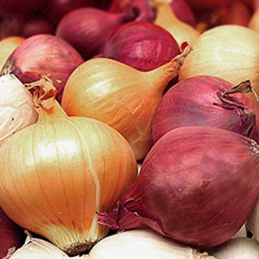 Image of Boiler Onions