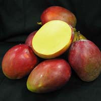 Image of Organic Mangos