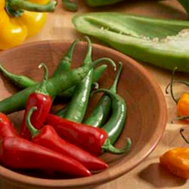 Image of Chile Pepper