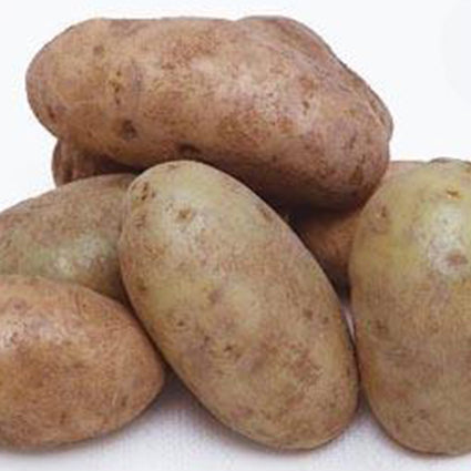 Organic Russet Potatoes
