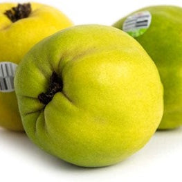 Image of Pineapple Quince