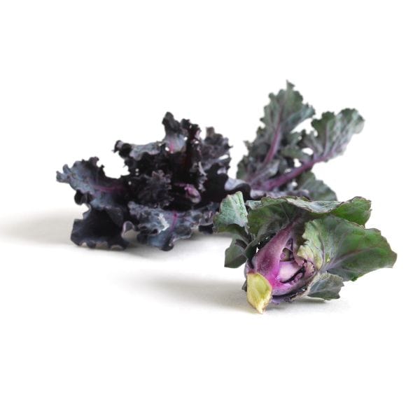 Image of  3 packages (5 Ounces each) Kale Sprouts Vegetables