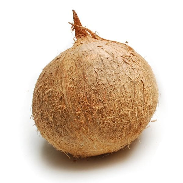 Image of  Coconuts Fruit