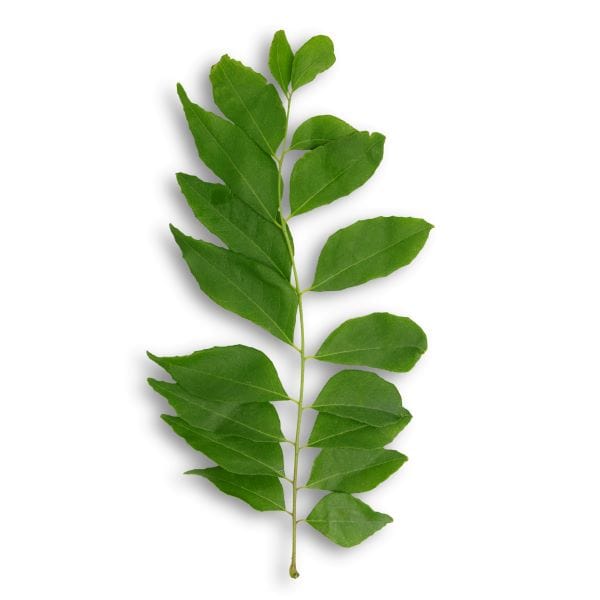 Image of  Curry Leaves Other