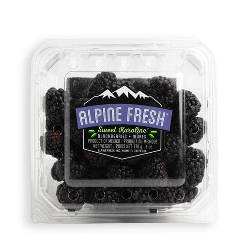 Image of  Organic Sweet Karoline® Blackberries Fruit