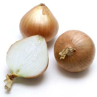 Image of  2 Pounds Organic Yellow Onion Organics