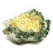 Image of  Flowering Kale Vegetables