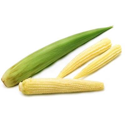 Image of  Fresh Baby Corn Vegetables