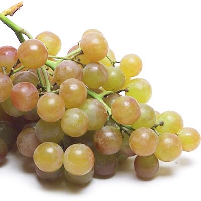 Image of  Muscatel Grapes Fruit
