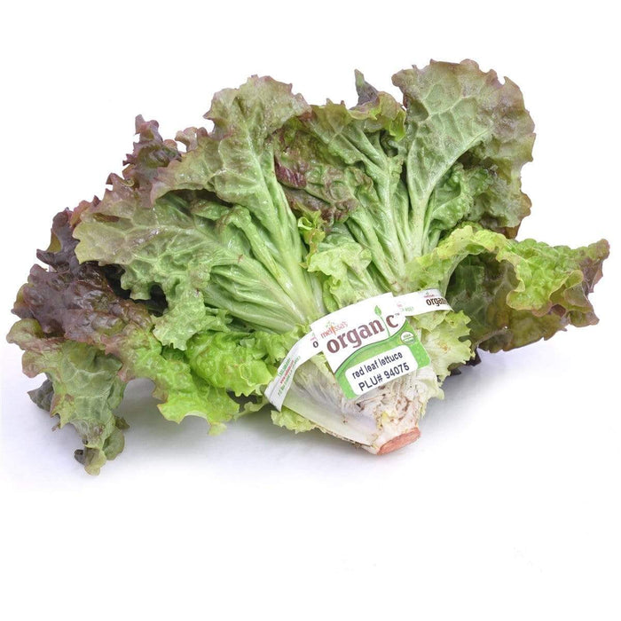 Image of  Organic Leaf Lettuce Organics
