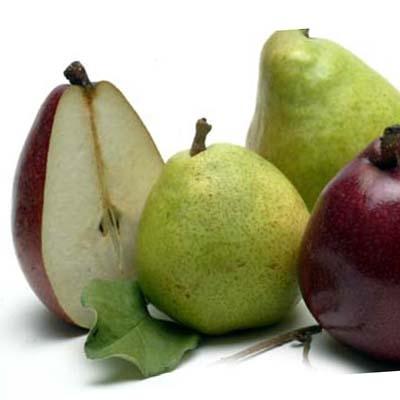 Image of  Organic Pears Fruit