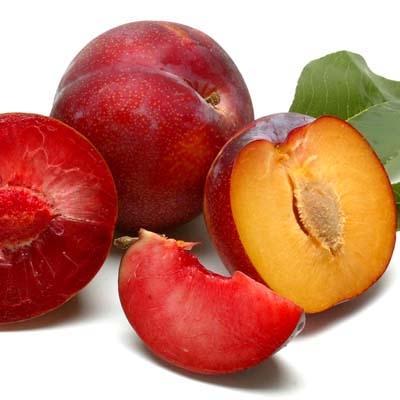 Image of  Plumcots Fruit