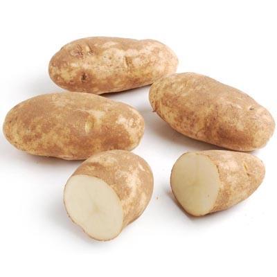 Image of  Russet Norkotah Potatoes Vegetables