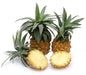 Image of  South African Baby Pineapples Fruit