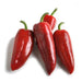 Image of  Sweet Red Kapia Peppers Vegetables