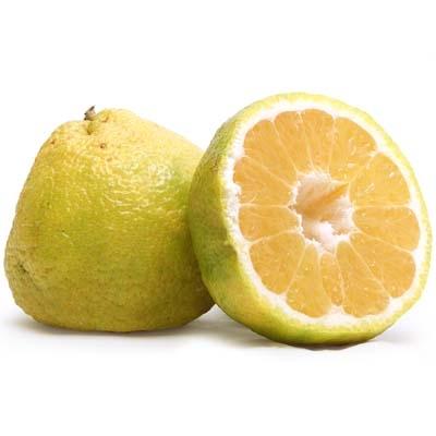 Image of  Uniq Fruit Fruit