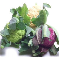 Image of colorful cauliflower