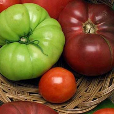 Image of Heirloom Tomatoes