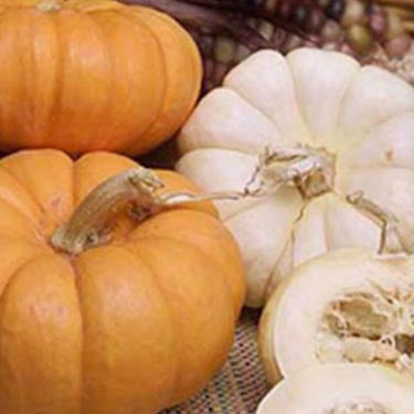 Image of Pumpkins