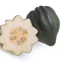 Image of Organic Acorn Squash