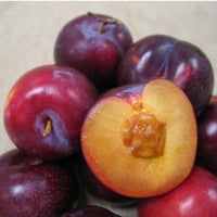 Image of organic plums
