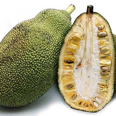 Image of Fresh Jackfruit