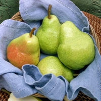 Image of Organic Pears