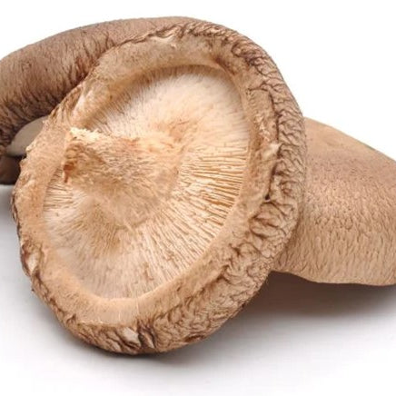 Image of Portobello Mushrooms