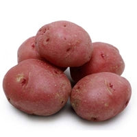 Image of Baby Ruby Gold® Potatoes