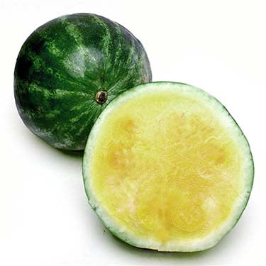 Image of Yellow Watermelon