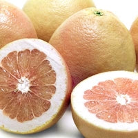 Image of Grapefruit