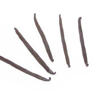 Image of Vanilla Beans