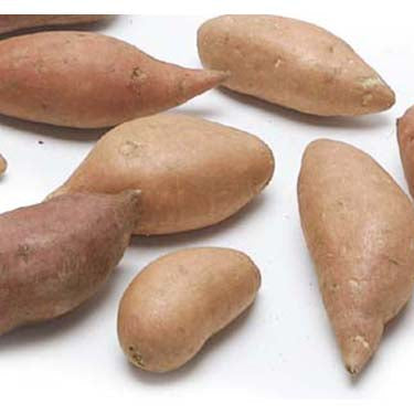 Image of Organic Baby Yams