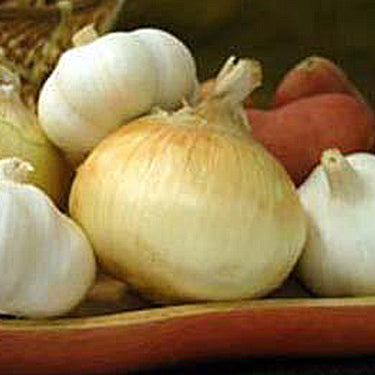 Image of garlic and onions