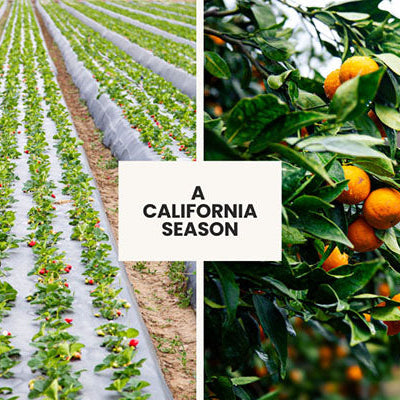 Pixies & Strawberries, A California Season