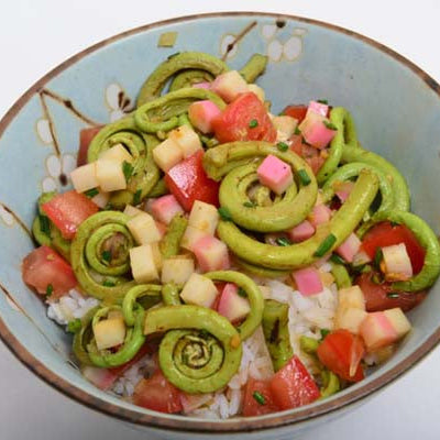 Image of Asian Fiddlehead Fern