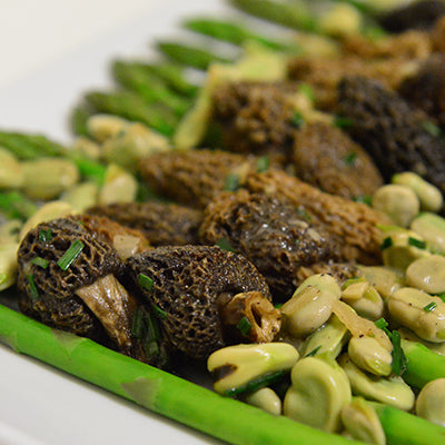 Image of Asparagus, Fava Beans, Chervil and Morel Mushrooms