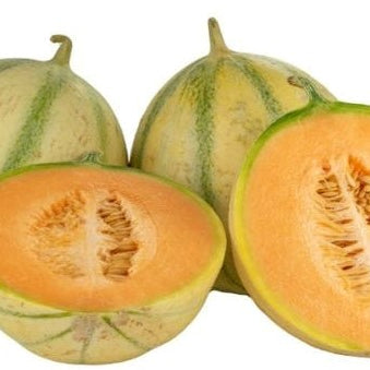 Image of Charentais Melons