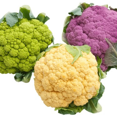 Image of Colorful Cauliflower