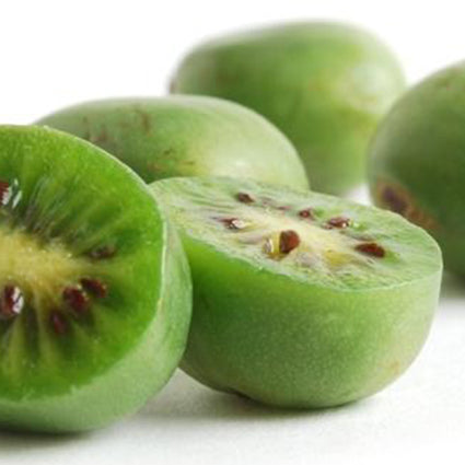 Kiwi Berries