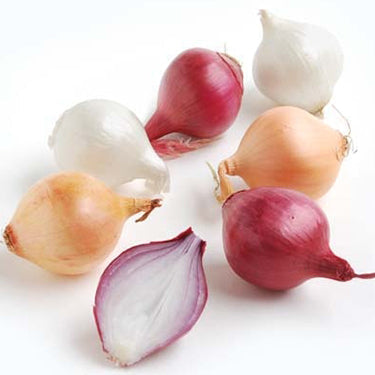 Pearl Onions