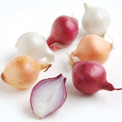 Image of Boiler onions