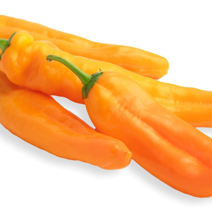 August Vegetables 2026