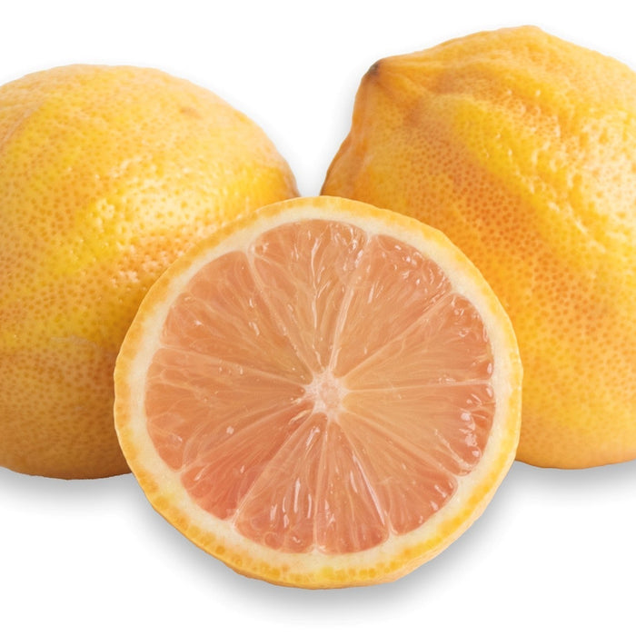 Melissa's Pink Lemon in white background