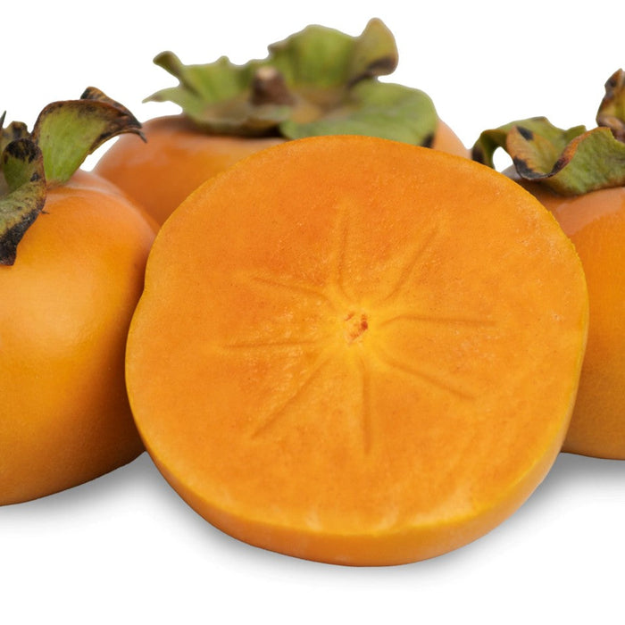 Organic Sweet Pumpkin Persimmons