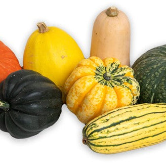 Image of Squash