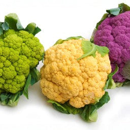 September 2026 Veggies