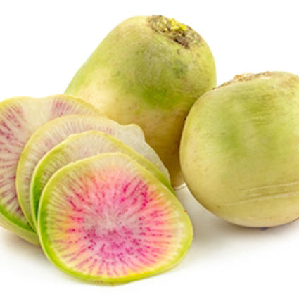 Watermelon Radish