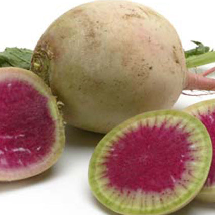 Image of Watermelon Radishes