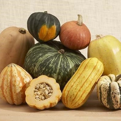Image of Winter Squash